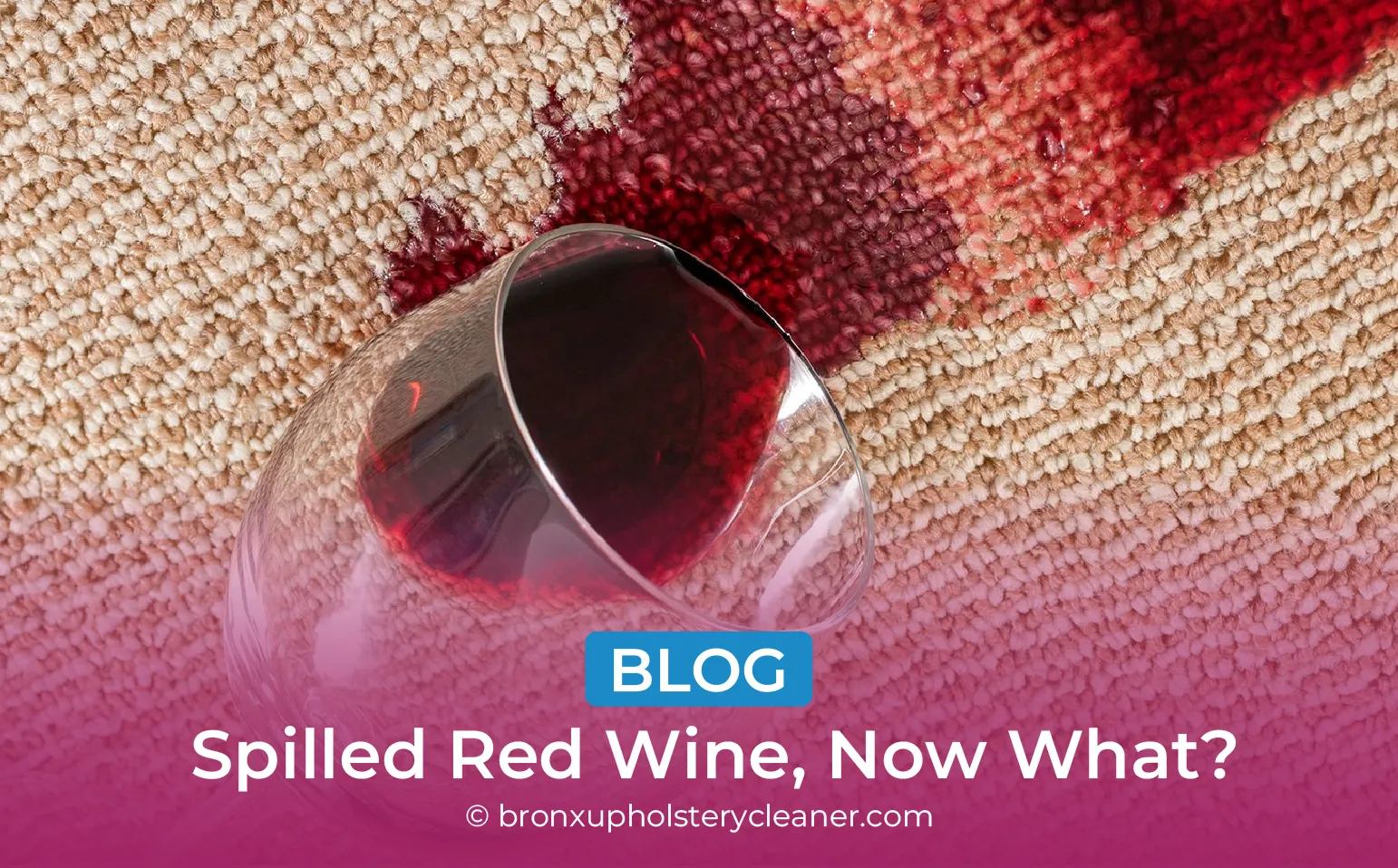 carpet cleaning in bronx, carpet cleaning in new york, carpet cleaning bronx, carpet cleaners in bronx, carpet cleaners in new york, commercial carpet cleaning, commercial carpet cleaning in bronx, bronx rug cleaners, rug cleaning services in bronx, same day carpet cleaning, same day rug cleaning