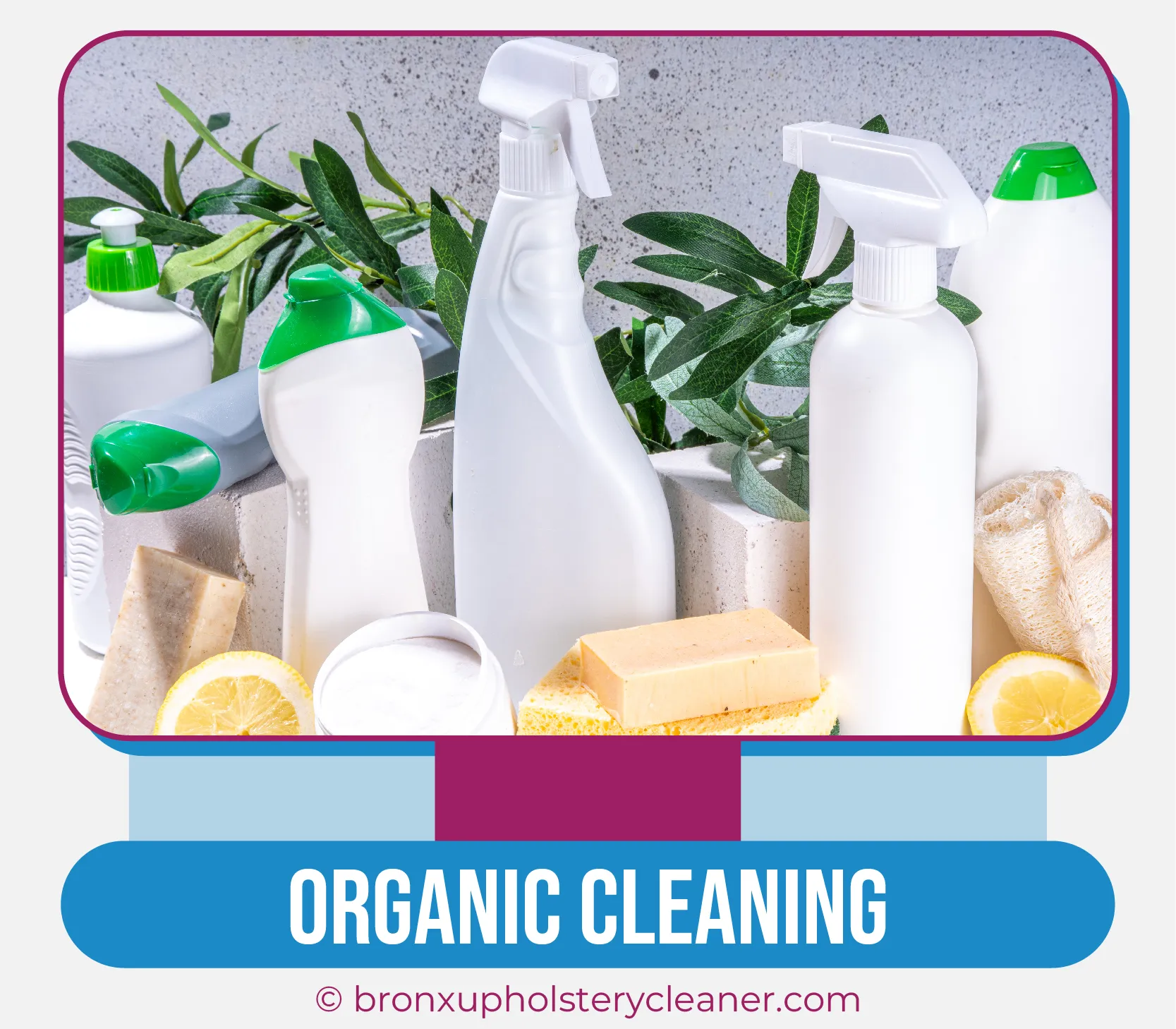 carpet cleaning in bronx, carpet cleaning in new york, carpet cleaning bronx, carpet cleaners in bronx, carpet cleaners in new york, commercial carpet cleaning, commercial carpet cleaning in bronx, bronx rug cleaners, rug cleaning services in bronx, same day carpet cleaning, same day rug cleaning