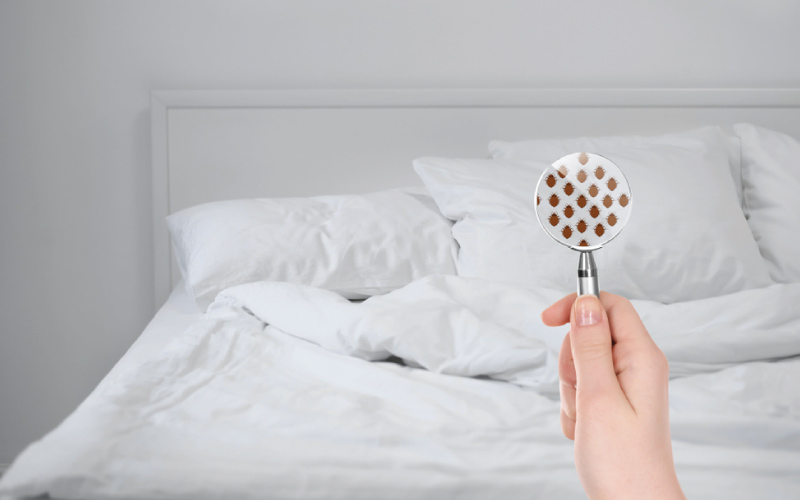 carpet cleaning in Bronx, carpet cleaner in Bronx, carpet cleaners in Bronx, carpet cleaners in Bronx, drapery cleaners in Bronx, carpet cleaning in Bronx, mattress cleaning in Bronx, mattress cleaners in Bronx, commercial carpet cleaning, commercial carpet cleaners in Bronx, Bronx rug cleaners, rug cleaning services in Bronx same day carpet cleaning, same day rug cleaning