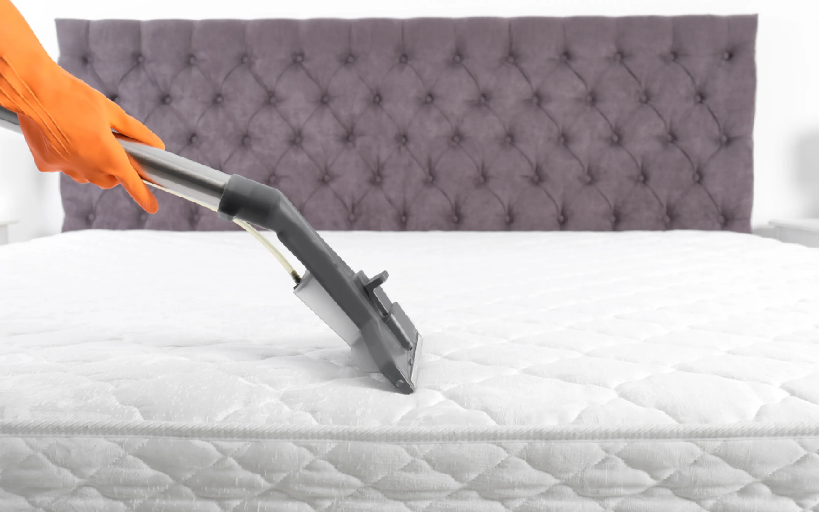 carpet cleaning in Bronx, carpet cleaner in Bronx, carpet cleaners in Bronx, carpet cleaners in Bronx, drapery cleaners in Bronx, carpet cleaning in Bronx, mattress cleaning in Bronx, mattress cleaners in Bronx, commercial carpet cleaning, commercial carpet cleaners in Bronx, Bronx rug cleaners, rug cleaning services in Bronx same day carpet cleaning, same day rug cleaning