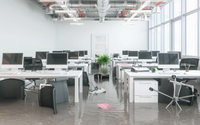 carpet cleaning in Bronx, carpet cleaner in Bronx, carpet cleaners in Bronx, carpet cleaners in Bronx, drapery cleaners in Bronx, carpet cleaning in Bronx, mattress cleaning in Bronx, mattress cleaners in Bronx, commercial carpet cleaning, commercial carpet cleaners in Bronx, Bronx rug cleaners, rug cleaning services in Bronx same day carpet cleaning, same day rug cleaning